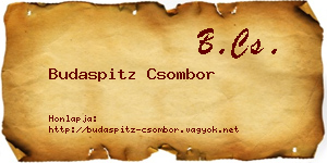 Budaspitz Csombor névjegykártya